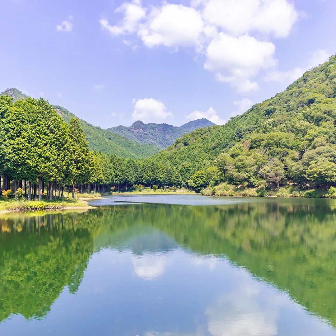 池のほとりでゆったり暮らす！兵庫県神崎郡市川町奥の庭付き平屋住宅物件の画像9