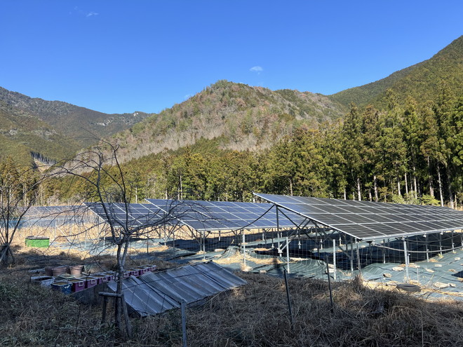 有機野菜の生産ライセンス付き！度会郡大紀町大内山の土地建物物件の画像10