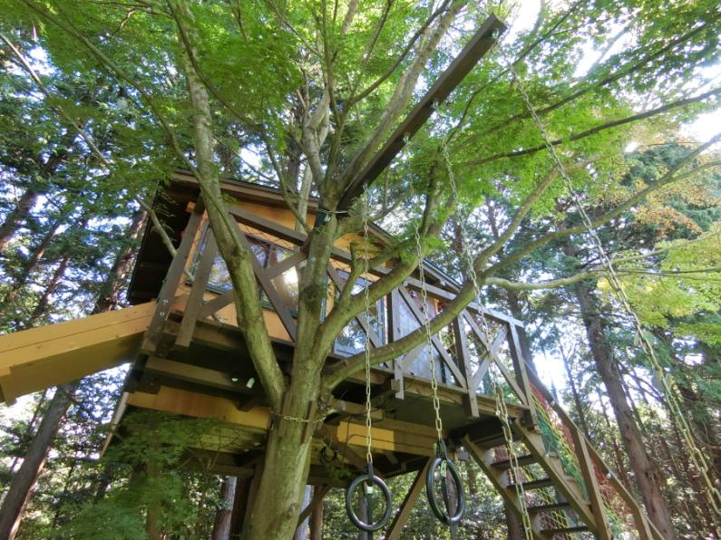 庭にツリーハウスのある面白い平屋！田方郡函南町平井の物件の画像10