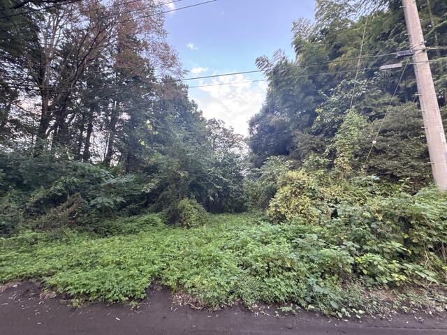 小美玉市 堅倉 (羽鳥駅) 1階建 2DKの画像10