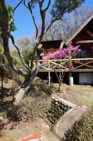 避暑地で夏を満喫！小川沿いの伊賀市北山の中古ログハウス物件の画像11