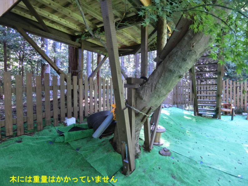 庭にツリーハウスのある面白い平屋！田方郡函南町平井の物件の画像11