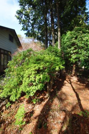 夏でも涼しい避暑地！津市白山町伊勢見の中古別荘物件の画像12