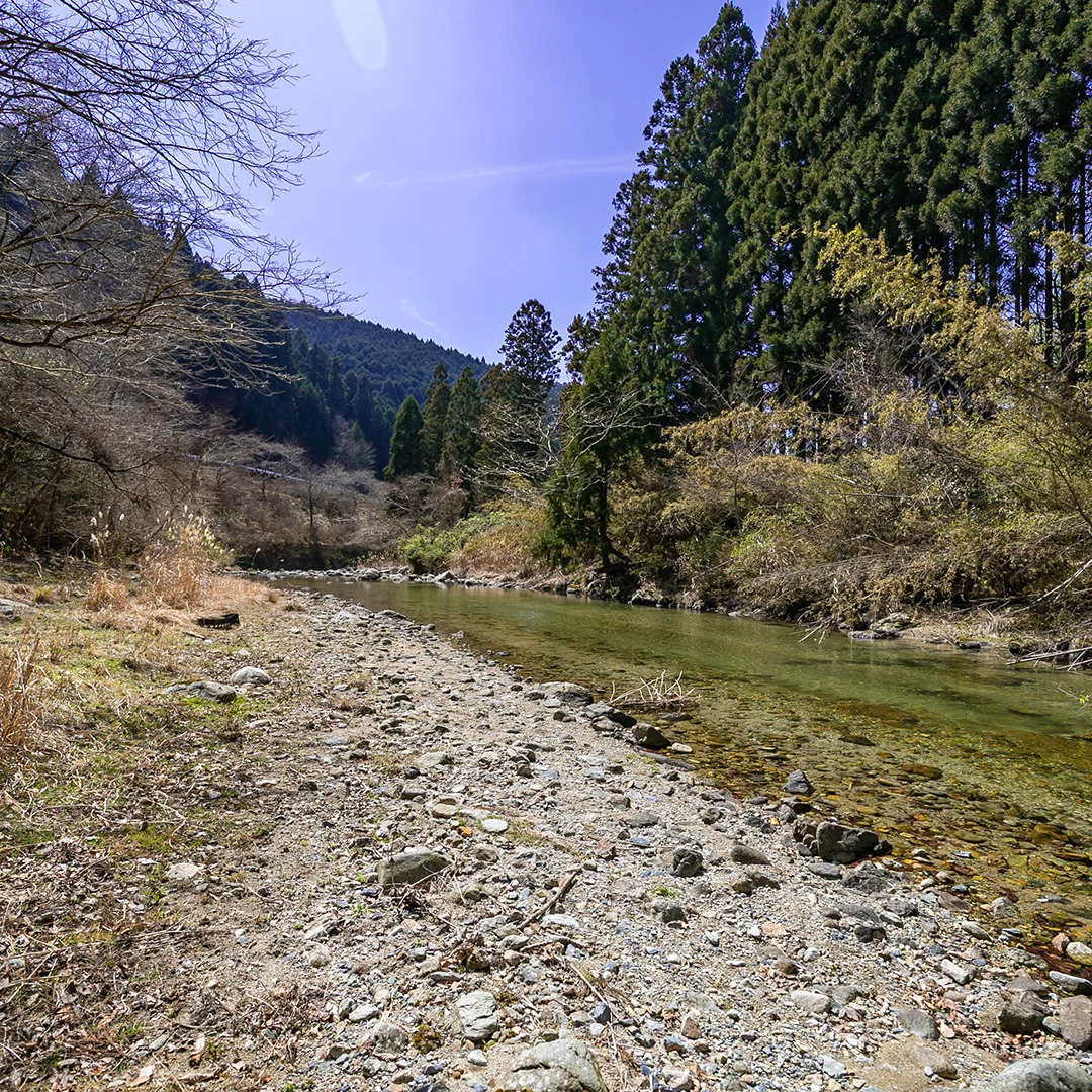 清流高見川沿いの贅沢ロケーション！東吉野村木津のプレハブ小屋付き土地物件の画像11