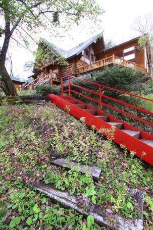 大自然に囲まれた極太ハンドカットログハウス！高山市荘川町中野の中古ログハウス物件の画像12