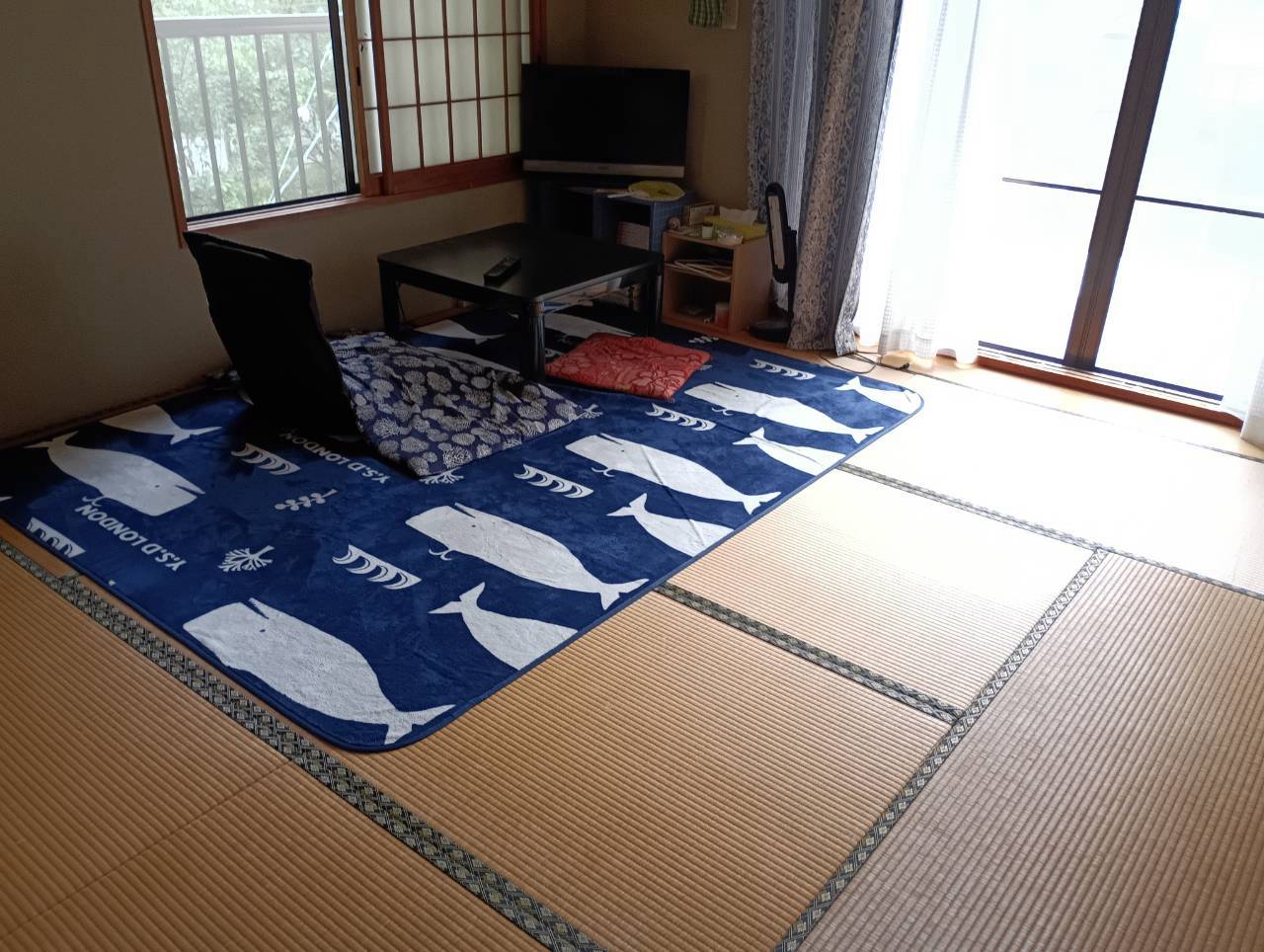  日本一の星空阿智村！花桃の里近く！の画像12