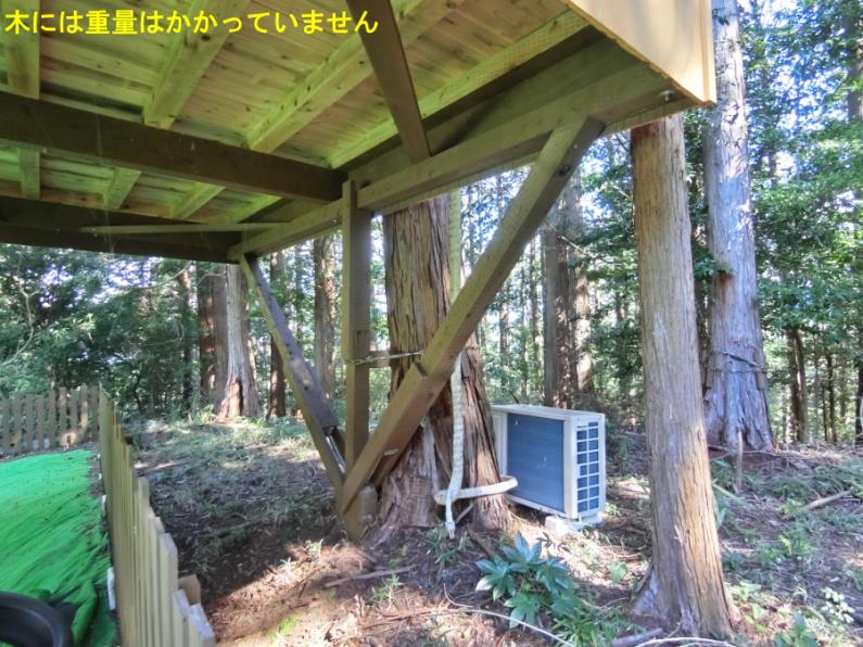 庭にツリーハウスのある面白い平屋！田方郡函南町平井の物件の画像12