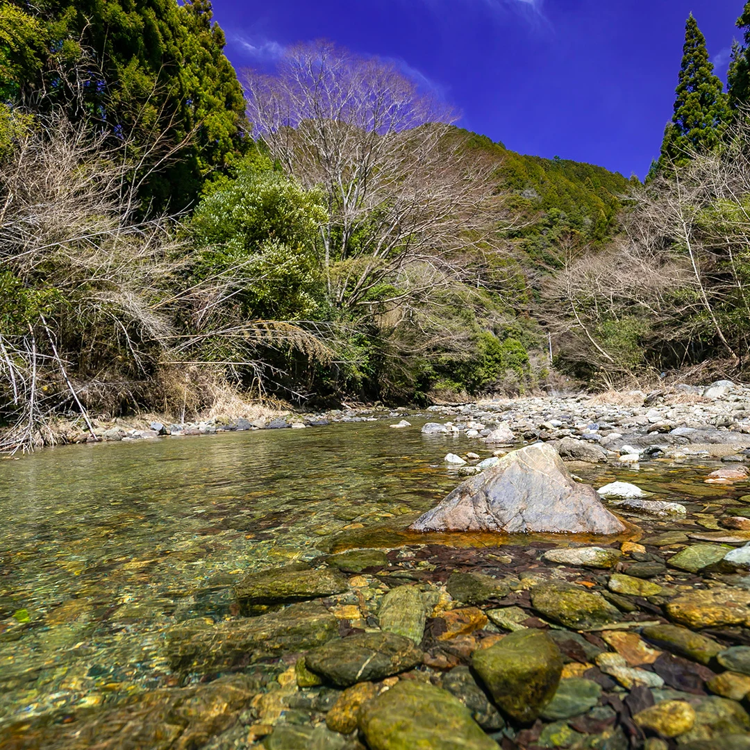 清流高見川沿いの贅沢ロケーション！東吉野村木津のプレハブ小屋付き土地物件の画像12