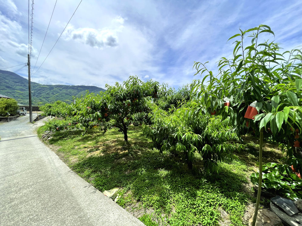 高台眺望良好！紀の川市上田井の平屋古民家物件の画像12