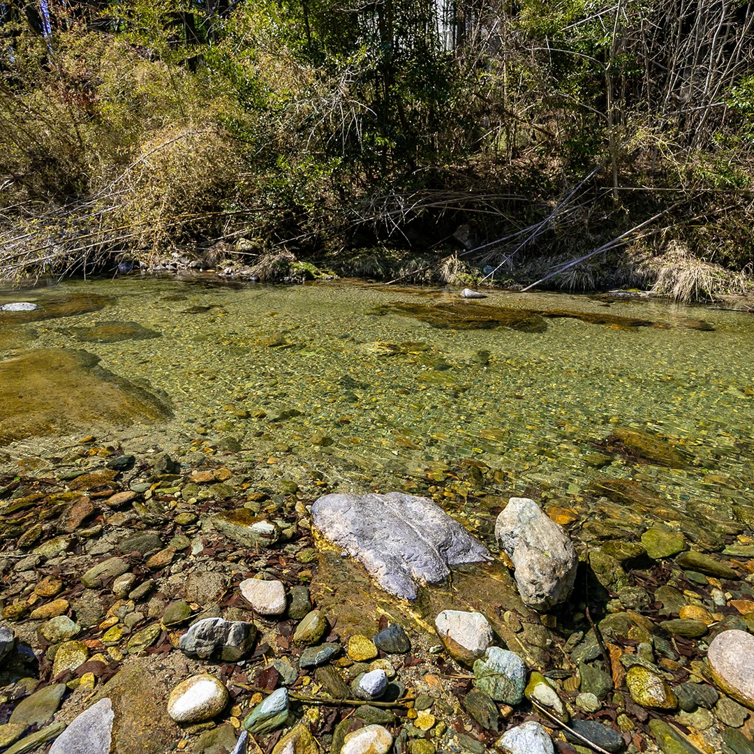 清流高見川沿いの贅沢ロケーション！東吉野村木津のプレハブ小屋付き土地物件の画像13