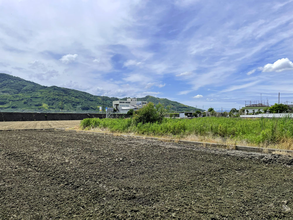 高台眺望良好！紀の川市上田井の平屋古民家物件の画像13