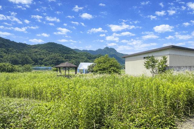 老後も暮らしやすい平屋建住宅！丹波市春日町下三井庄の1階建物件の画像14