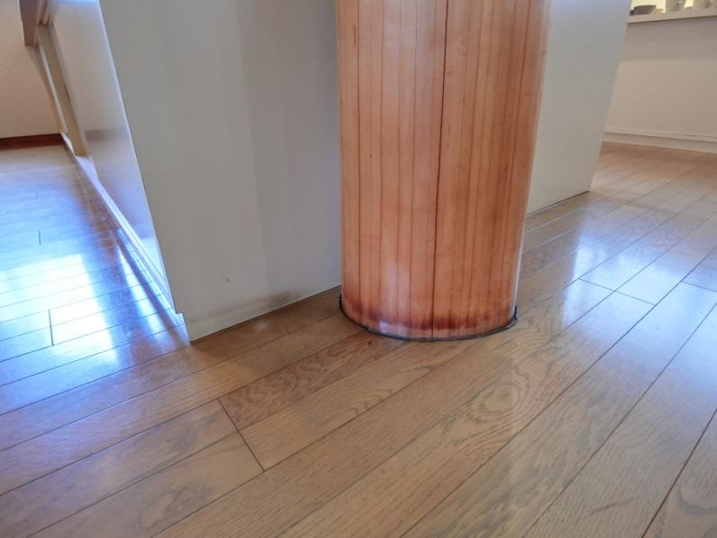 陶芸ギャラリー「炎彩」でアートな暮らし！伊豆市湯ケ島の物件の画像15