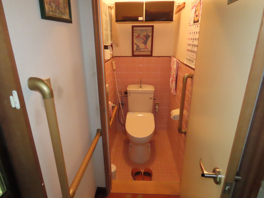 広い庭で家庭菜園が楽しめる！田辺市龍神村福井の物件の画像15