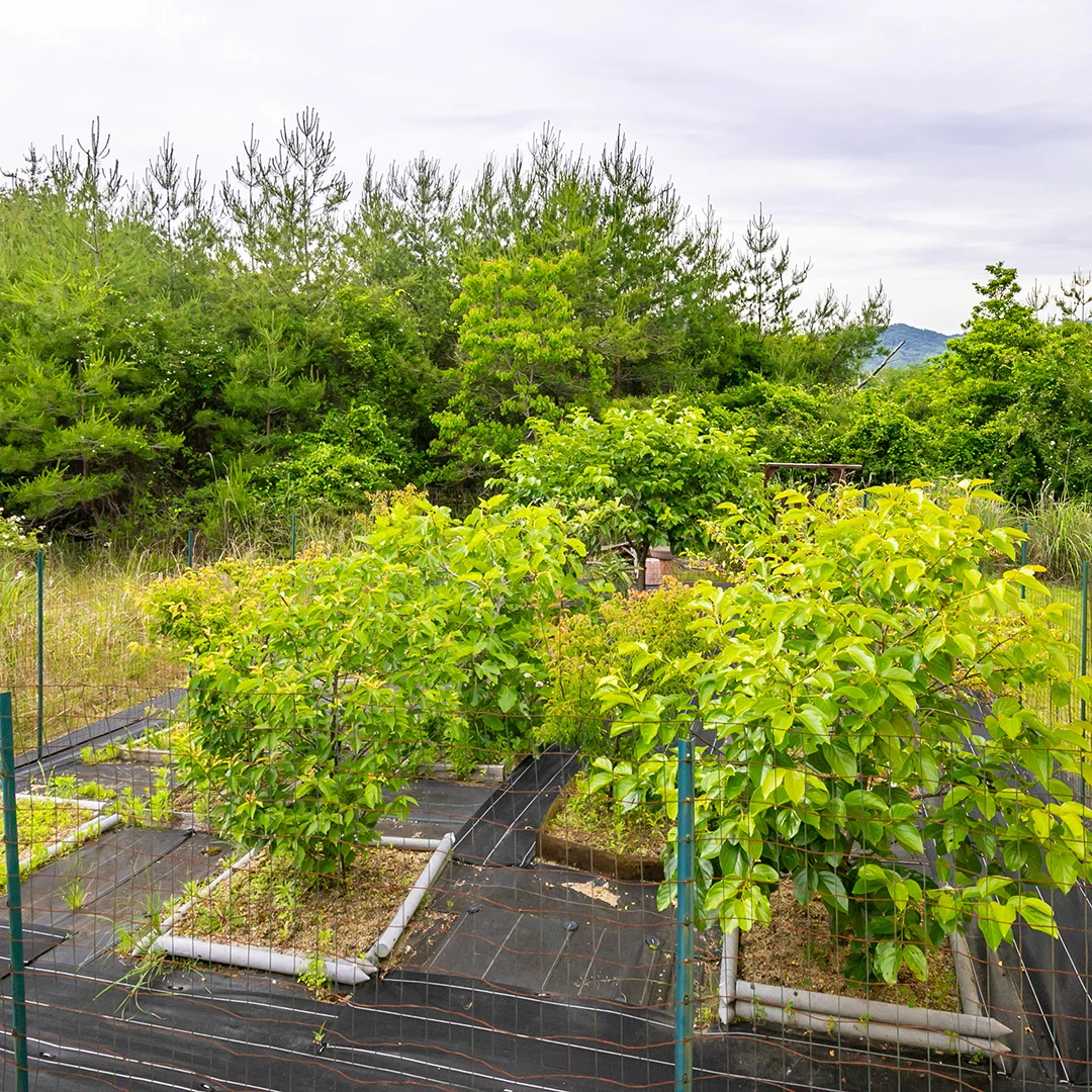価格改定でさらにお得！伊賀市槇山阿山のログ小屋付き土地物件の画像15