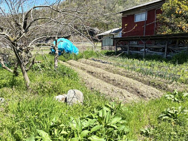 農業に最適！丹波市春日町東中の二世帯向け物件の画像16
