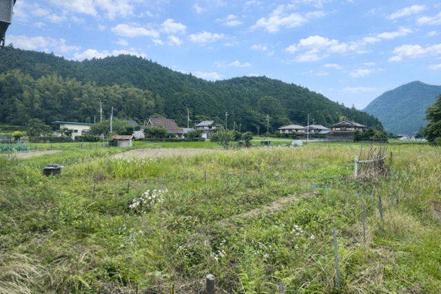 田舎暮らしにオススメ！自然豊かな氷上町長野の平屋建住宅物件の画像16