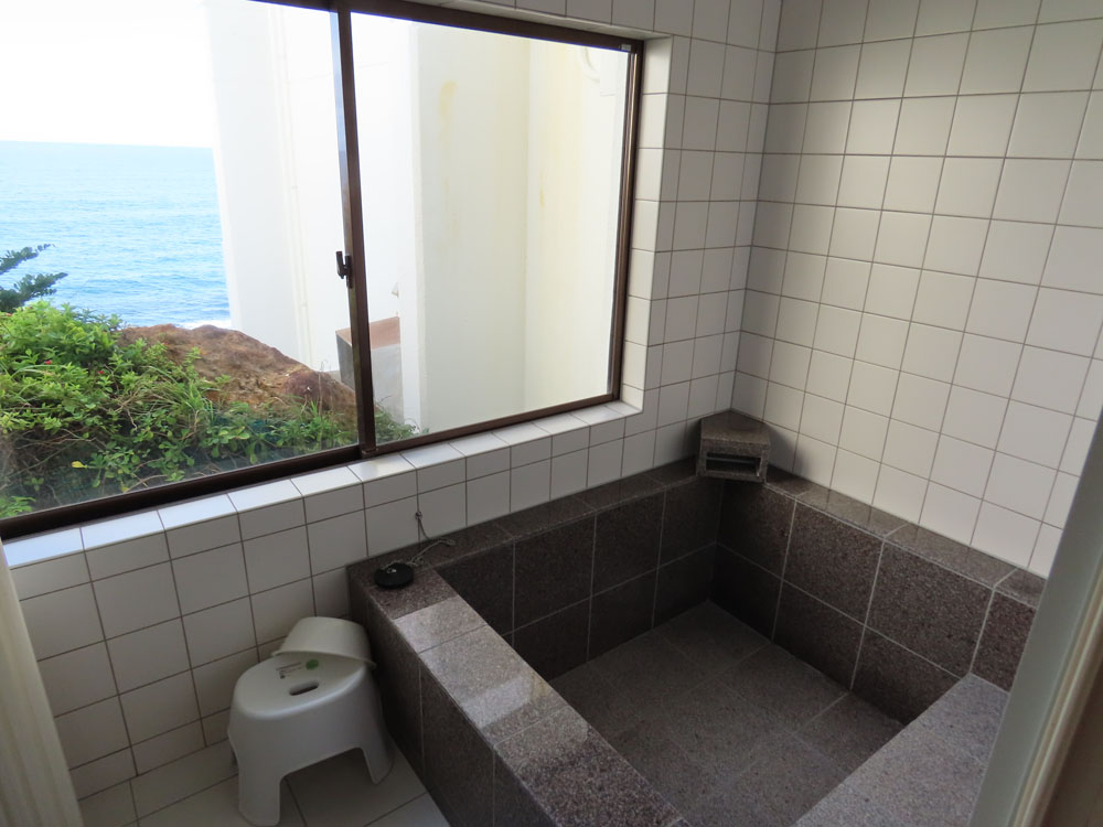 圧倒的オーシャンビュー！白浜町才野の一戸建て物件の画像15