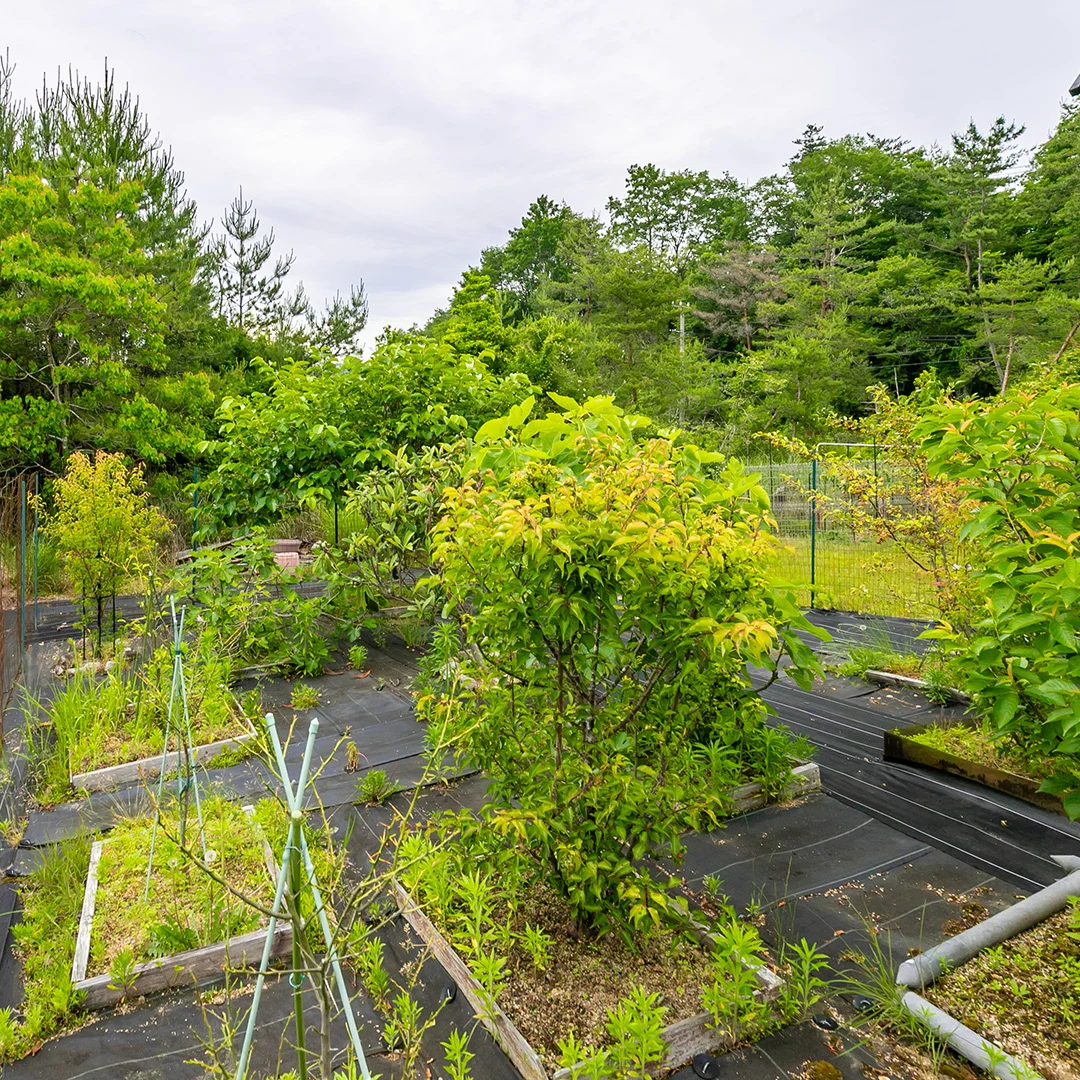 価格改定でさらにお得！伊賀市槇山阿山のログ小屋付き土地物件の画像16