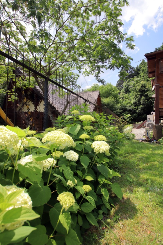 山々を望む広大な敷地で果樹・菜園が楽しめる！丹波市青垣町の中古別荘物件の画像17