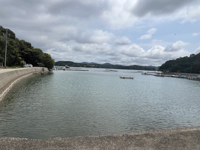 度会郡南伊勢町-五ケ所湾まで徒歩約２分の立地にあるコンパクトな戸建ての画像17