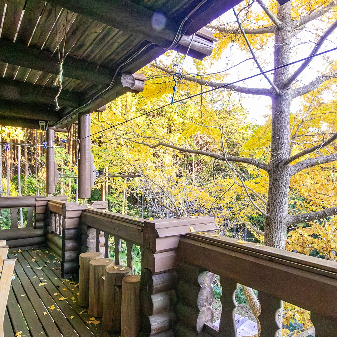 緑に包まれた大人の隠れ家！有田川町生石のログハウス物件の画像17