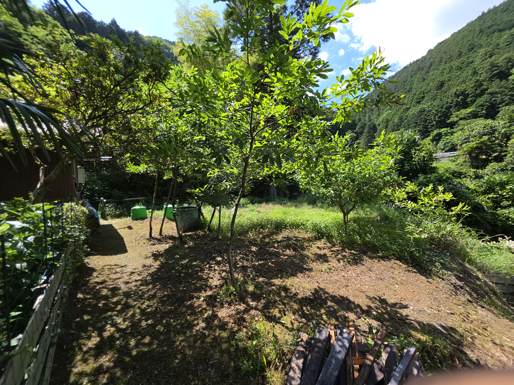 自然を満喫！民泊も可能な有田川町楠本の物件の画像17
