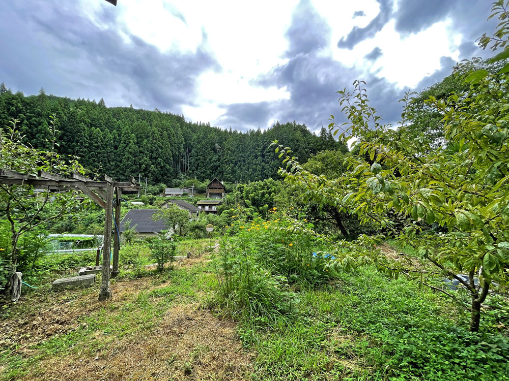紀の川市上鞆渕（件番号12084）の物件の画像17