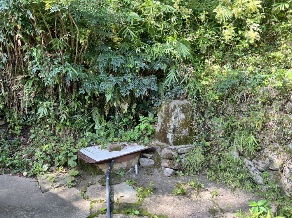広い敷地と東屋が魅力！紀美野町福井の物件の画像17