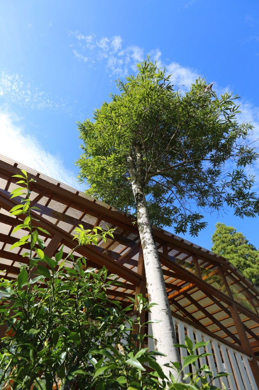 キャンプ気分で楽しむ高台のログハウス！南丹市園部町大河内の中古別荘物件の画像18