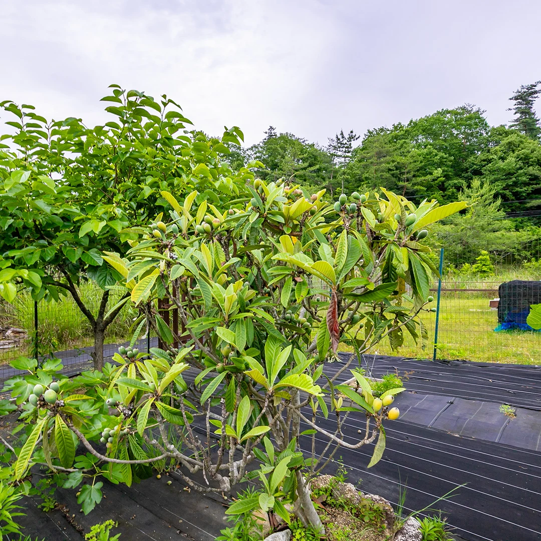 価格改定でさらにお得！伊賀市槇山阿山のログ小屋付き土地物件の画像18