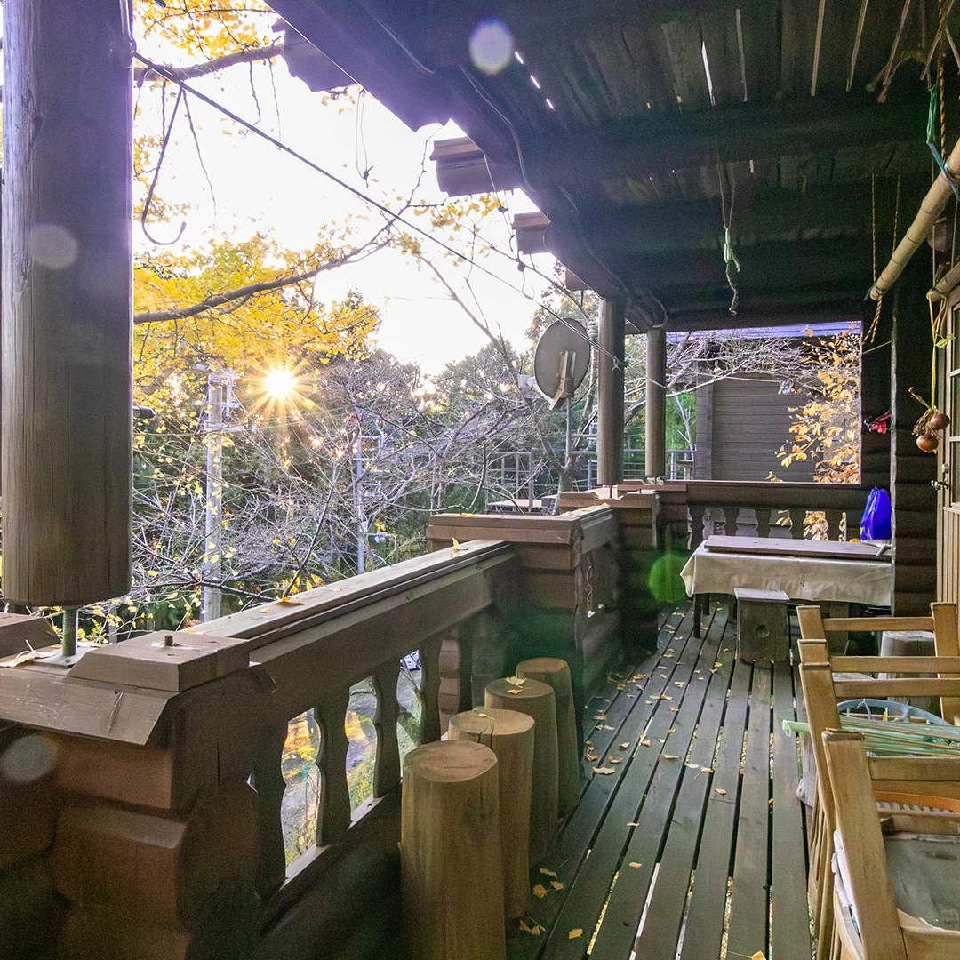 緑に包まれた大人の隠れ家！有田川町生石のログハウス物件の画像18