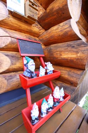 大自然に囲まれた極太ハンドカットログハウス！高山市荘川町中野の中古ログハウス物件の画像19