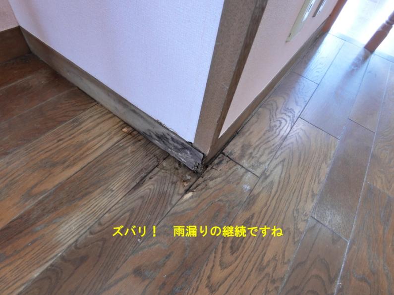 避暑地「天城高原」！雨漏り跡のある伊東市池の別荘物件の画像19