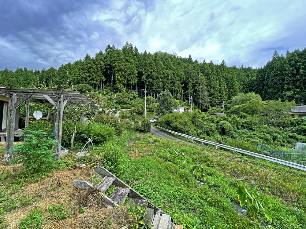 紀の川市上鞆渕（件番号12084）の物件の画像18