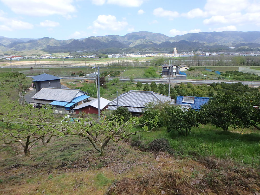 果樹園付き高台の古民家！かつらぎ町兄井の古民家物件の画像19