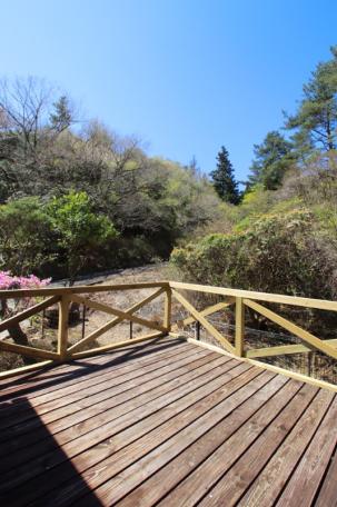 避暑地で夏を満喫！小川沿いの伊賀市北山の中古ログハウス物件の画像20