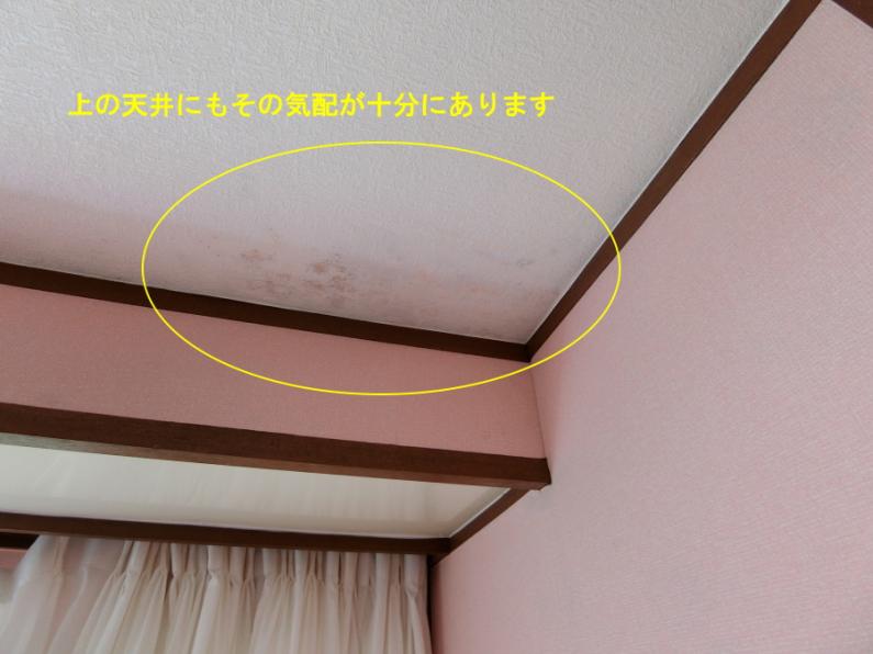 避暑地「天城高原」！雨漏り跡のある伊東市池の別荘物件の画像20