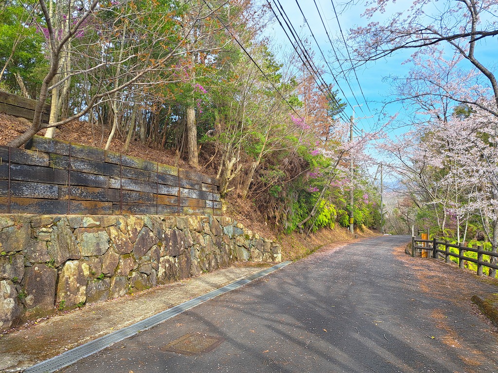 開放的なデッキで自然を満喫♪吹抜けのロフト付きのログハウスの画像21
