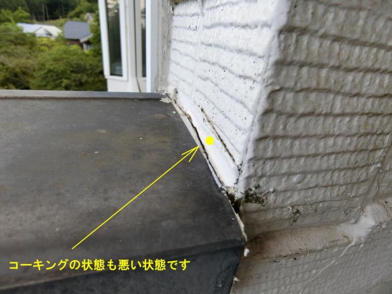 避暑地「天城高原」！雨漏り跡のある伊東市池の別荘物件の画像22