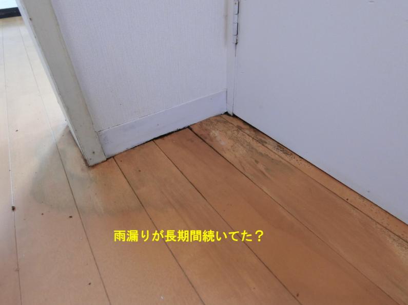 磨けば光る全室オーシャンビュー！伊東市赤沢の物件の画像23