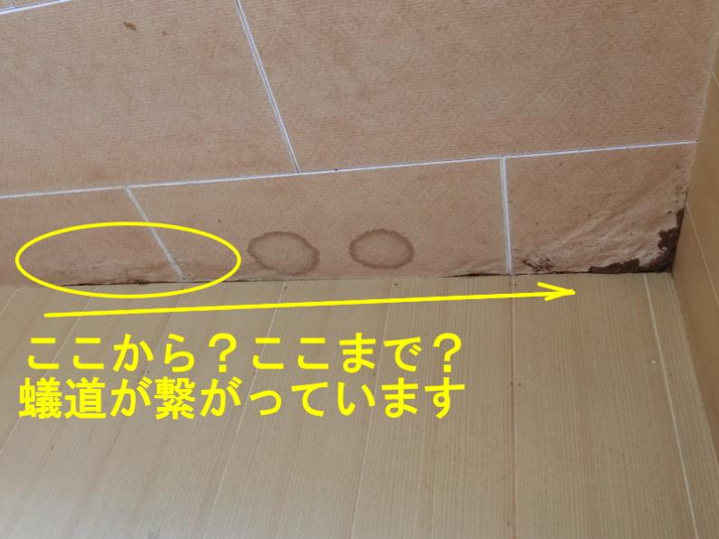 撮り鉄必見！伊豆市柏久保の物件物件の画像24
