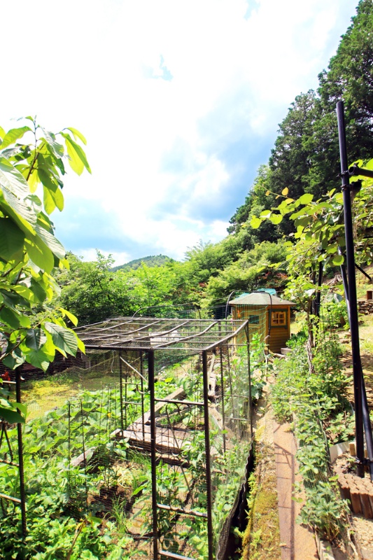 山々を望む広大な敷地で果樹・菜園が楽しめる！丹波市青垣町の中古別荘物件の画像25