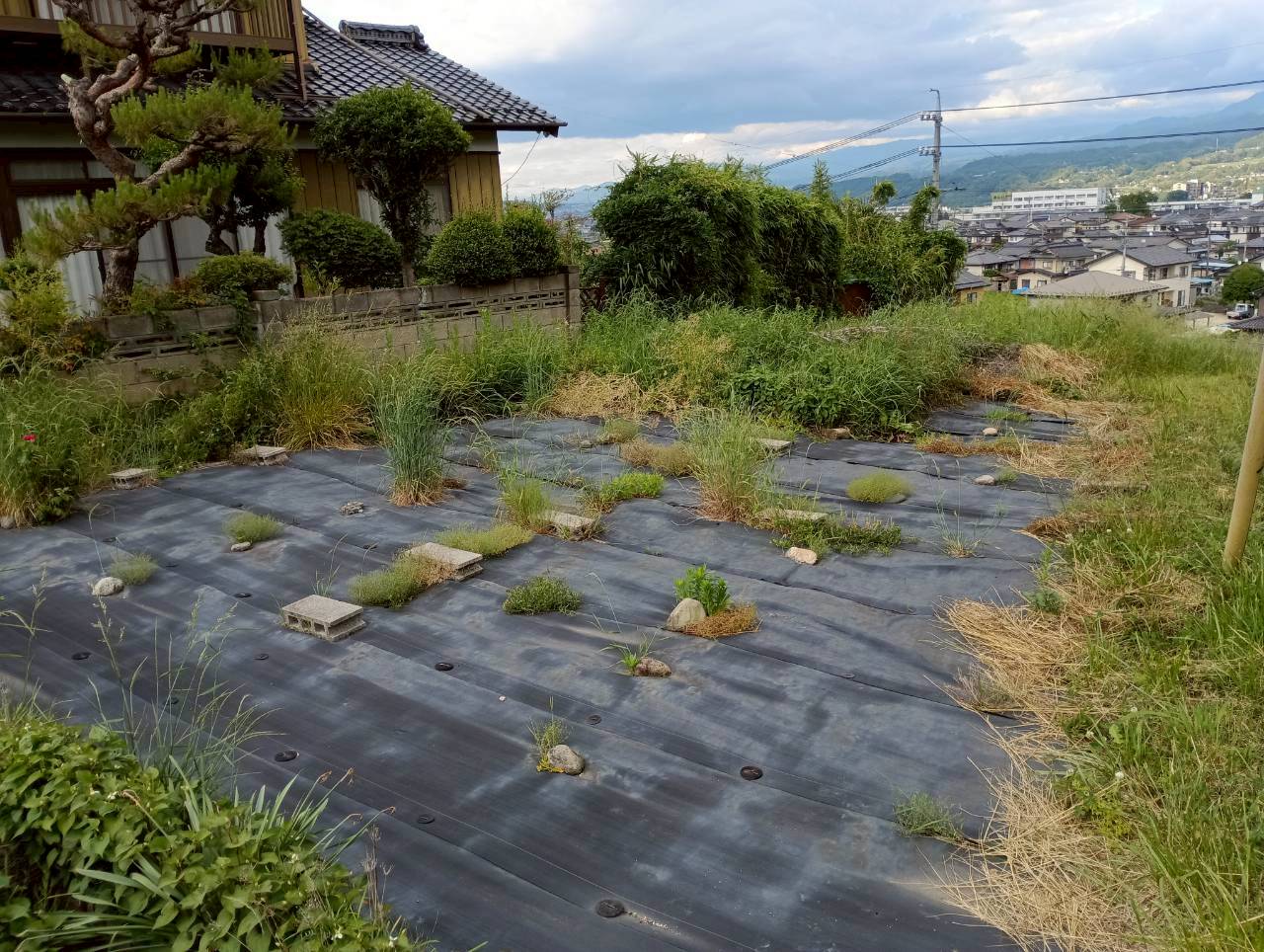 日当たりの良い畑があります。の画像24