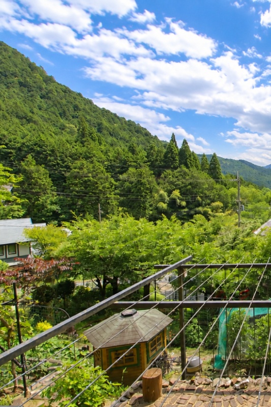 山々を望む広大な敷地で果樹・菜園が楽しめる！丹波市青垣町の中古別荘物件の画像27
