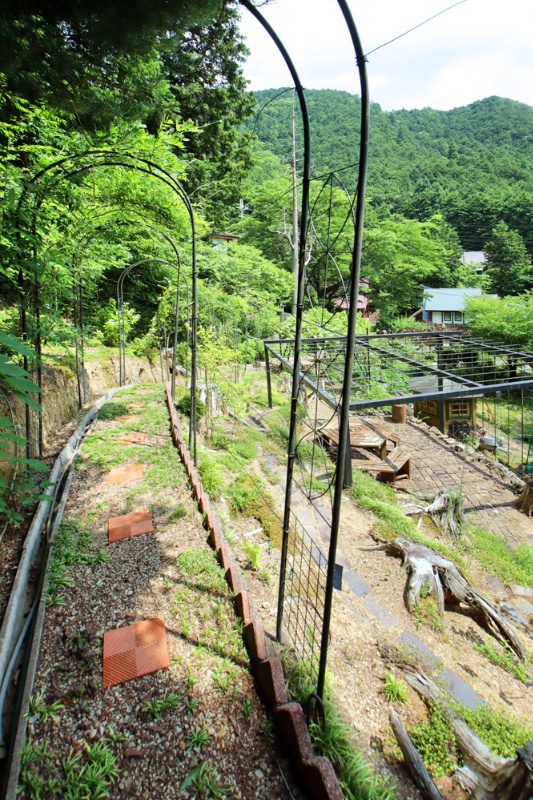 山々を望む広大な敷地で果樹・菜園が楽しめる！丹波市青垣町の中古別荘物件の画像29