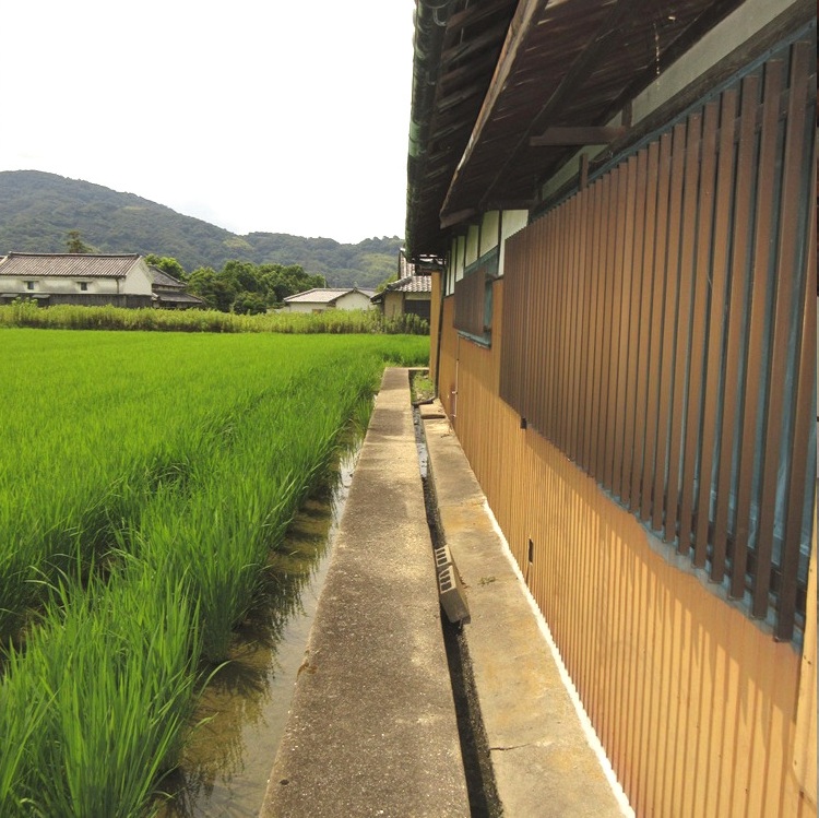 紀の川市打田の画像31