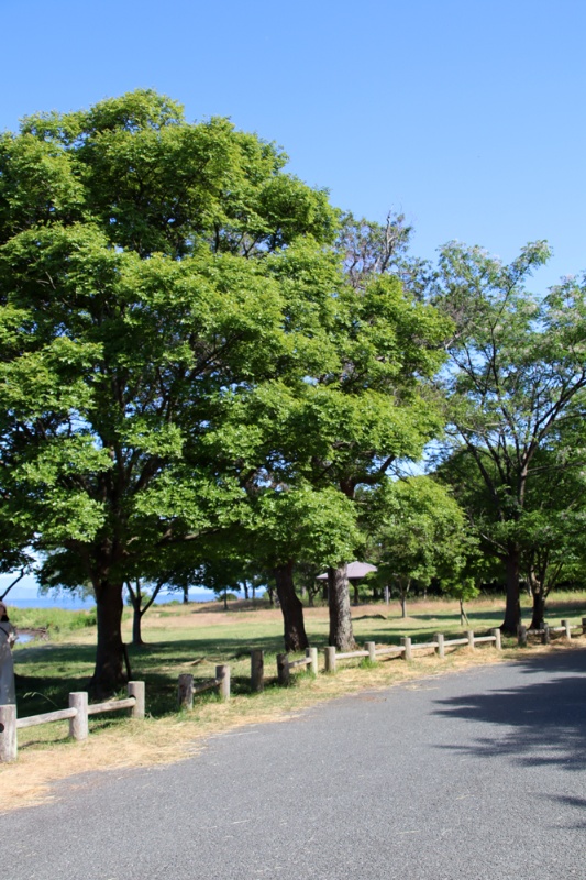 DIY好き必見！高島市新旭町の中古別荘物件の画像32