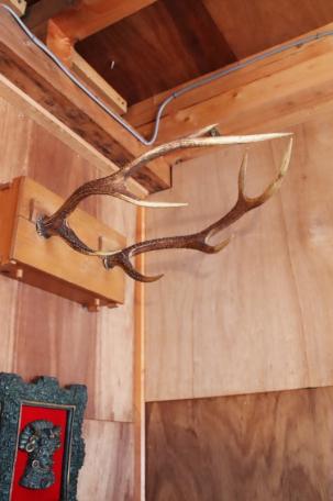 朽木スキー場入口！温泉近く高島市朽木柏の中古別荘物件の画像33