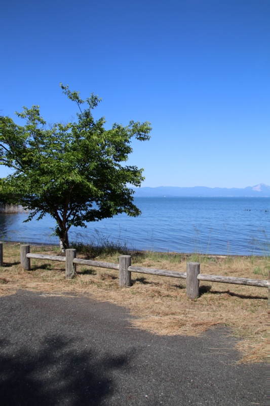 DIY好き必見！高島市新旭町の中古別荘物件の画像33
